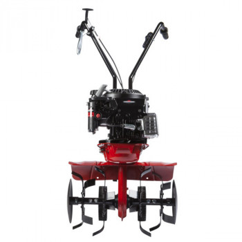 Eurosystems Motorhacke Z3 RG, Briggs & Stratton Series 625 EXi, 150 ccm