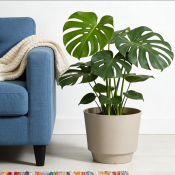 Blumentopf Ø: 30 x H: 27 cm Calais Camel, Beige, für Innen & Aussen, 13,6 Liter