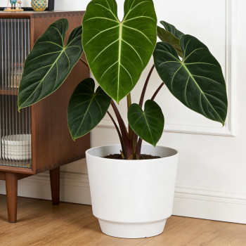 Blumentopf Ø: 30 x H: 27 cm Calais White, Weiß, für Innen & Aussen, 13,6 Liter