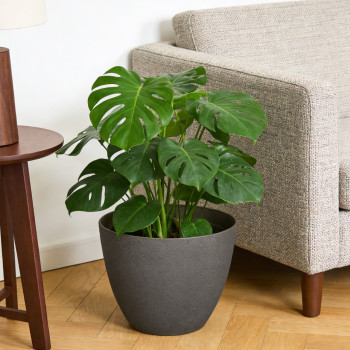 Blumentopf Ø: 30 x H: 24 cm Concrete Chocolate, für Innen & Aussen, 11,7 Liter