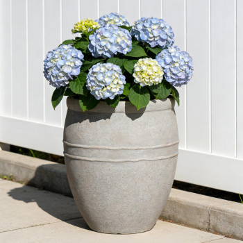 Blumentopf Ø: 34 x H: 40 cm Palermo Stone, Grau, für Innen & Aussen, 28 Liter