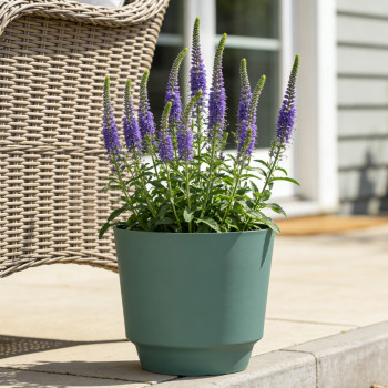 Blumentopf Ø: 40,5 x H: 35 cm Calais Juniper, Grün, für Innen & Aussen, 32 Liter