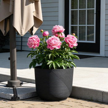 Blumentopf Ø: 40 x H: 33 cm Prado Black, Anthrazit, für Innen & Aussen, 33 Liter