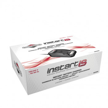 Ladegerät Briggs & Stratton für Instart IS Rasenmäher (593562)
