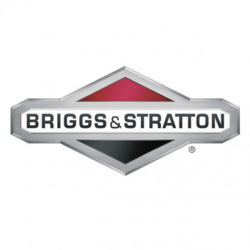 Ladegerät Briggs & Stratton für Instart IS Rasenmäher (593562)