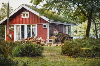 STIHL Benzin Kettensäge, Motorsäge, MS 162 C-BE, PMM3, Schienenlänge 30 cm