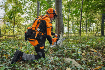 STIHL Gürtel Advance X-FLEX, Größe L/XL (98 - 177 cm)
