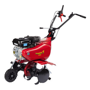Eurosystems Motorhacke Euro5 RG EVO 2V+1R mit Hacksatz, Honda GP 160