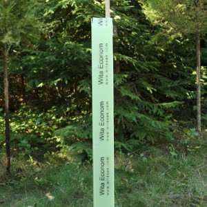 25 x Forst Baumschutzhülle, Ø 12 cm WitaEconom - 120cm, Verbiss- und Fegeschutz