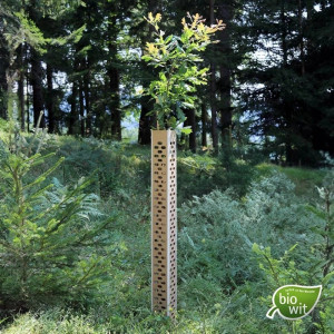 25 x Forst Baumschutzhülle, BioWit FMX - Höhe 120 cm, Verbiss- und Fegeschutz