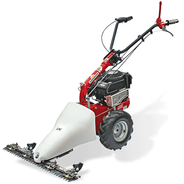 Eurosystems M220 Balkenmäher, Schneidwerk 87 cm, B & S 675iS Series InStart