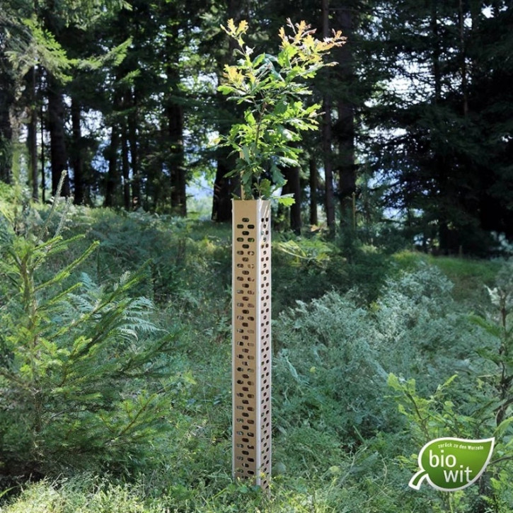 25 x Forst Baumschutzhülle, BioWit FMX - Höhe 120 cm, Verbiss- und Fegeschutz